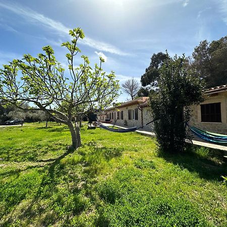 Finca Roberto Villa Can Picafort  Eksteriør billede