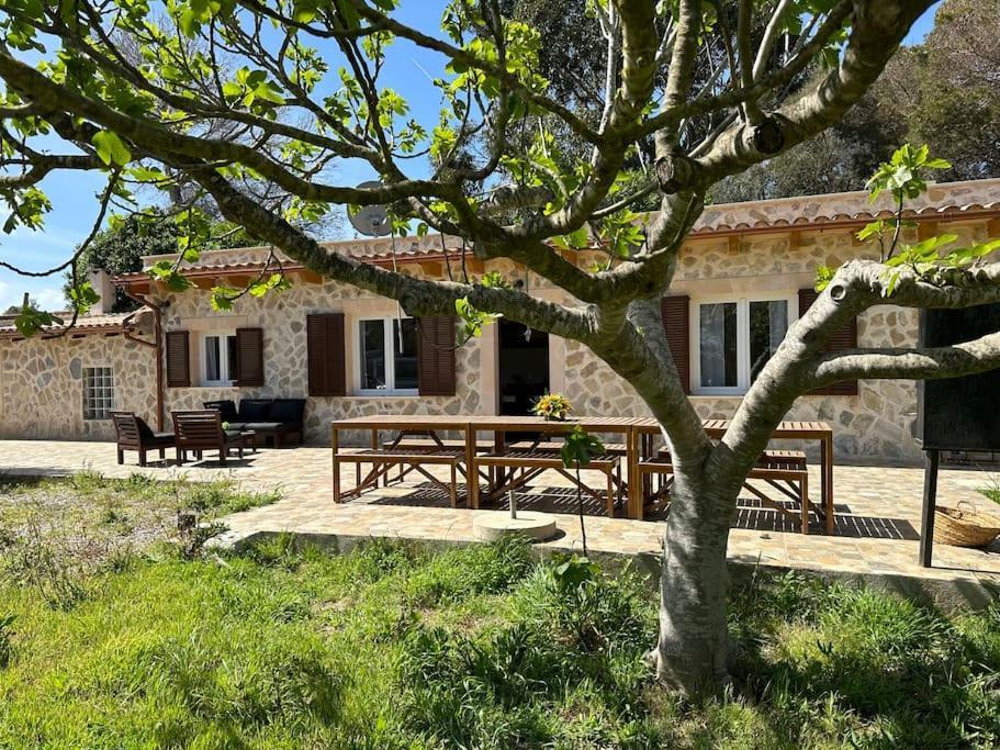 Finca Roberto Villa Can Picafort  Eksteriør billede