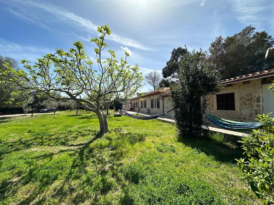Finca Roberto Villa Can Picafort  Eksteriør billede