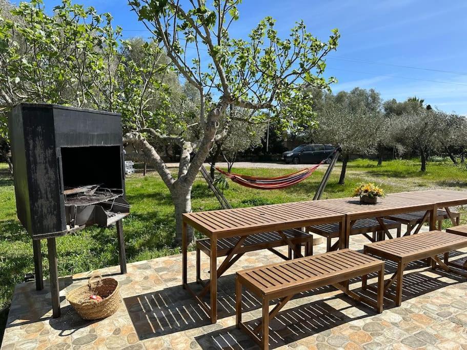 Finca Roberto Villa Can Picafort  Eksteriør billede