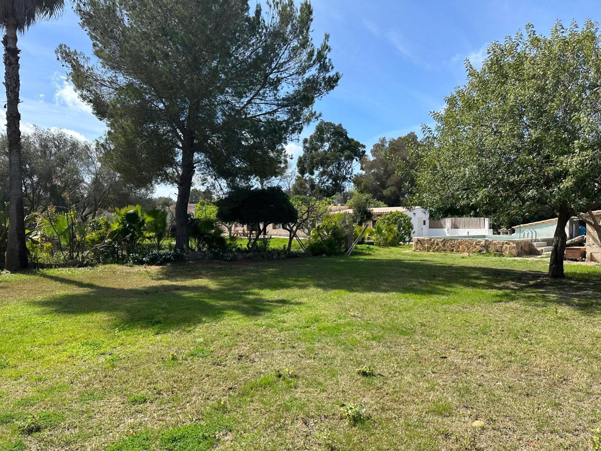 Finca Roberto Villa Can Picafort  Eksteriør billede