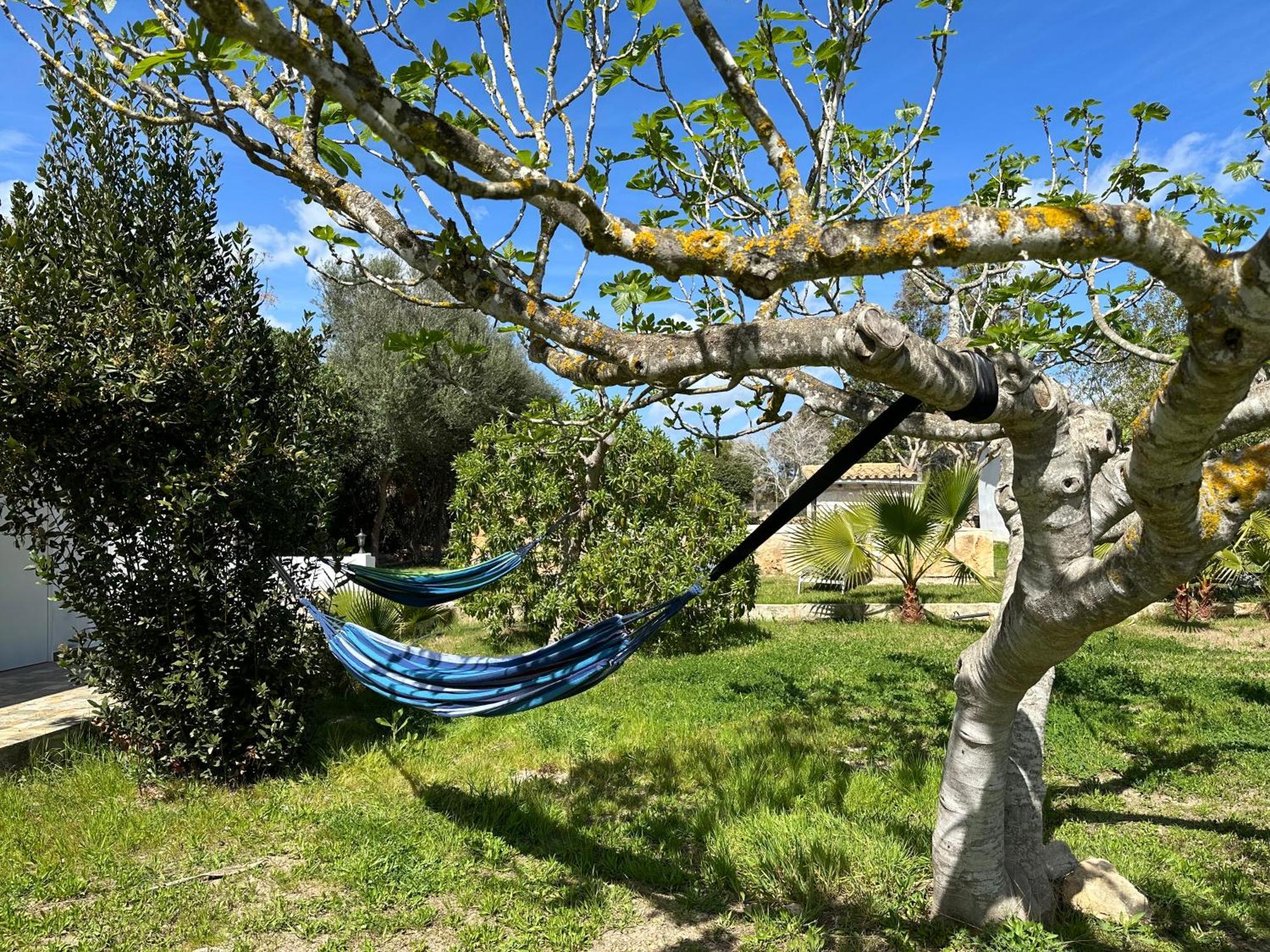 Finca Roberto Villa Can Picafort  Eksteriør billede