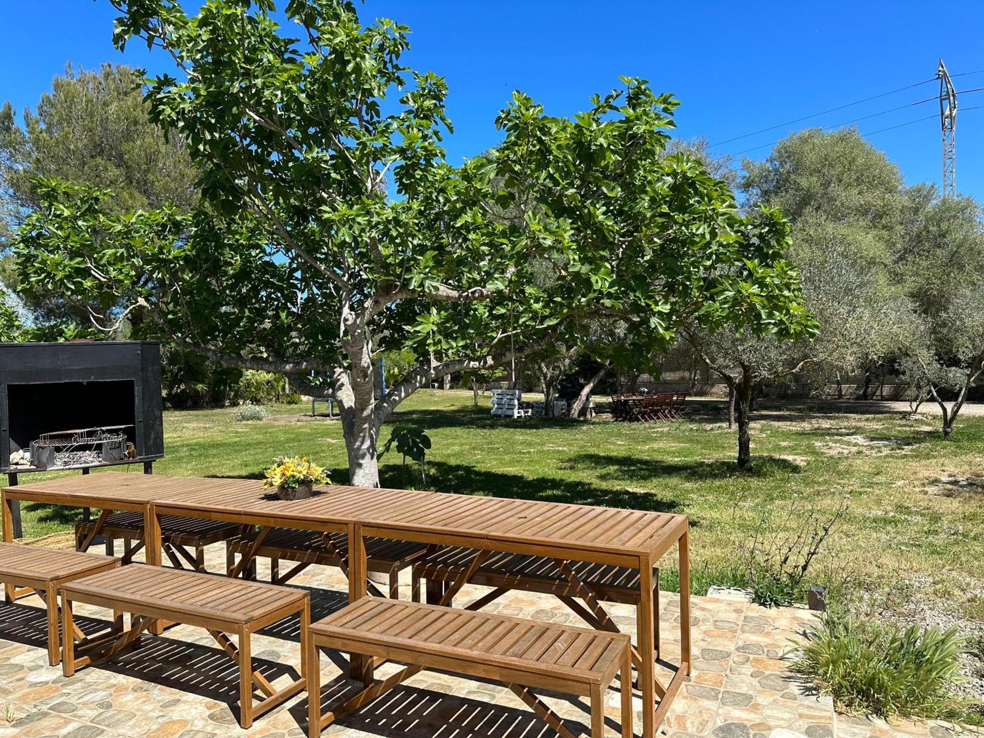 Finca Roberto Villa Can Picafort  Eksteriør billede